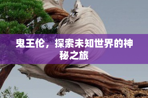 鬼王伦，探索未知世界的神秘之旅