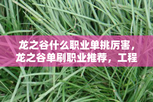 龙之谷什么职业单挑厉害，龙之谷单刷职业推荐，工程师与魔法师