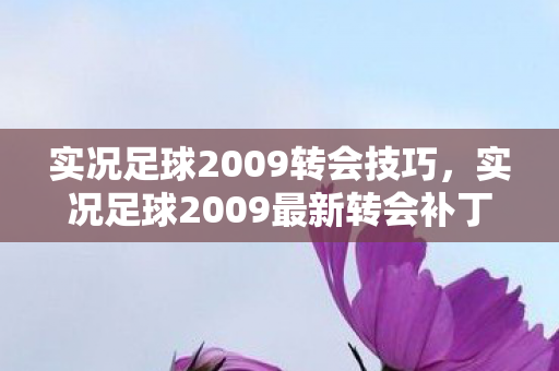 实况足球2009转会技巧，实况足球2009最新转会补丁，重塑绿茵场，激情再燃！