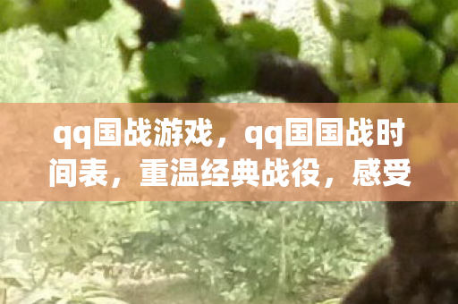qq国战游戏，qq国国战时间表，重温经典战役，感受策略与激情的碰撞