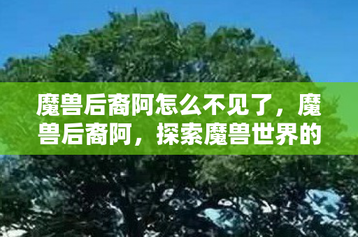 魔兽后裔阿怎么不见了，魔兽后裔阿，探索魔兽世界的传承与变迁