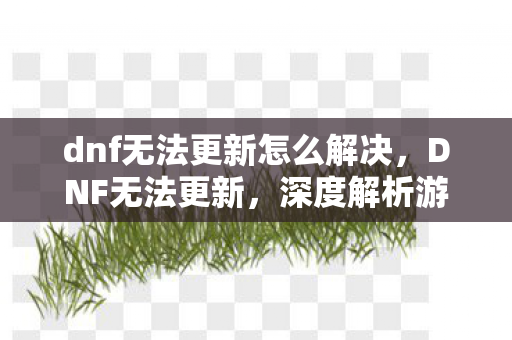 dnf无法更新怎么解决，DNF无法更新，深度解析游戏更新难题与解决方案