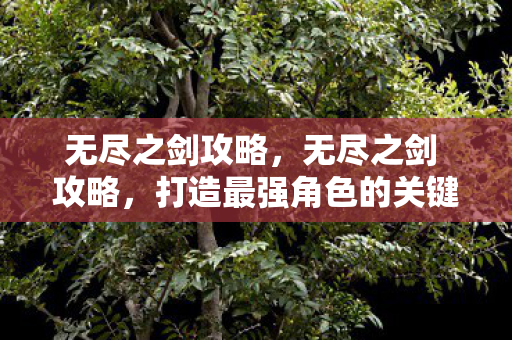 无尽之剑攻略，无尽之剑 攻略，打造最强角色的关键步骤
