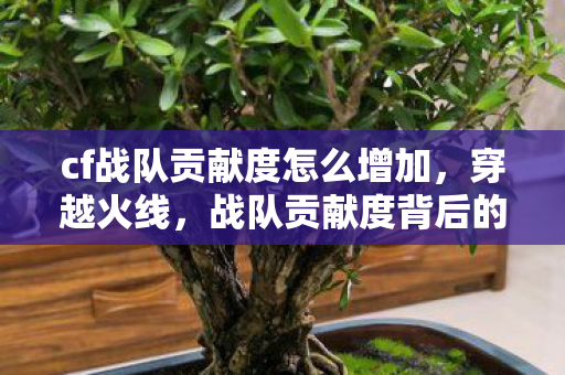 cf战队贡献度怎么增加，穿越火线，战队贡献度背后的故事