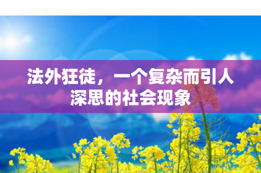 法外狂徒,一个复杂而引人深思的社会现象 法外狂徒,一个复杂而引人深思的社会现象