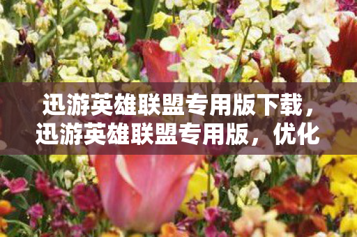 迅游英雄联盟专用版下载，迅游英雄联盟专用版，优化游戏体验，畅享竞技乐趣