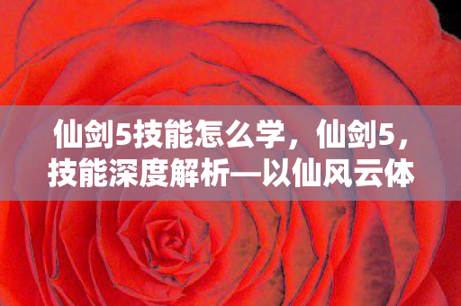 仙剑5技能怎么学，仙剑5，技能深度解析—以仙风云体为例
