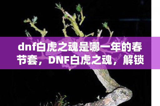dnf白虎之魂是哪一年的春节套，DNF白虎之魂，解锁战斗新境界的必备神器