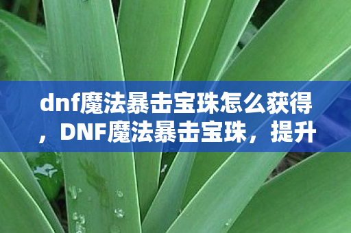 dnf魔法暴击宝珠怎么获得，DNF魔法暴击宝珠，提升战斗力的神秘法宝