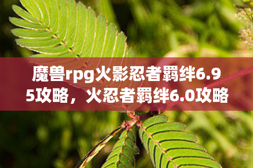 魔兽rpg火影忍者羁绊6.95攻略，火忍者羁绊6.0攻略，解锁全新冒险与挑战