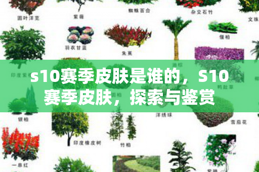 s10赛季皮肤是谁的，S10赛季皮肤，探索与鉴赏