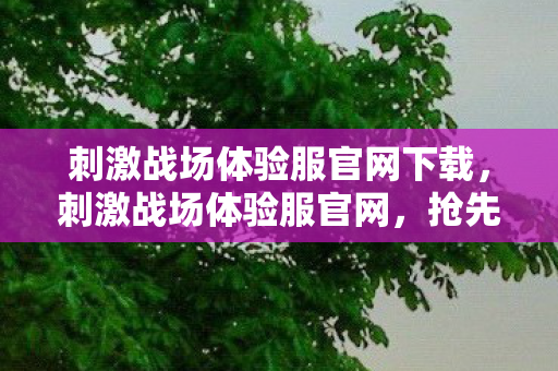 刺激战场体验服官网下载，刺激战场体验服官网，抢先体验，尽享游戏乐趣