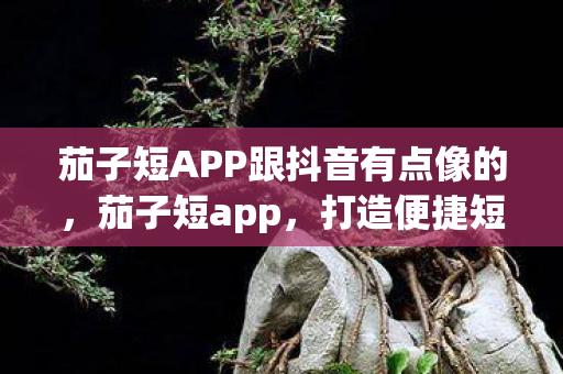 茄子短APP跟抖音有点像的，茄子短app，打造便捷短视频分享新体验