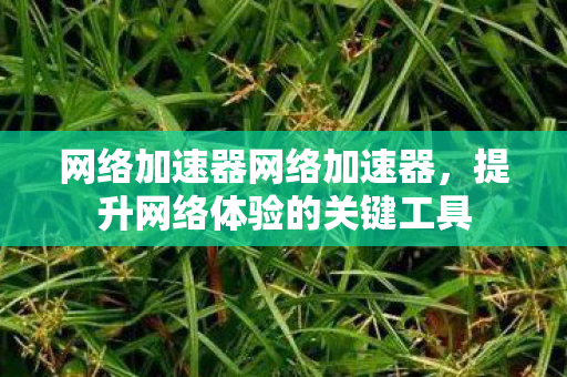 网络加速器网络加速器，提升网络体验的关键工具