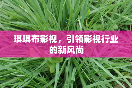 琪琪布影视，引领影视行业的新风尚