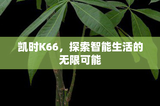凯时K66,探索智能生活的无限可能 凯时K66,探索智能生活的无限可能