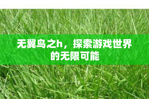 无翼鸟之h，探索游戏世界的无限可能