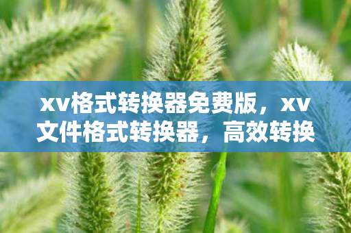 xv格式转换器免费版，xv文件格式转换器，高效转换，轻松应对各种文件格式
