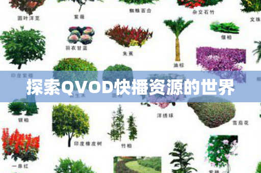 探索QVOD快播资源的世界 探索QVOD快播资源的世界