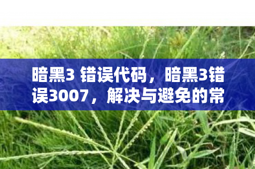 暗黑3 错误代码，暗黑3错误3007，解决与避免的常见方法