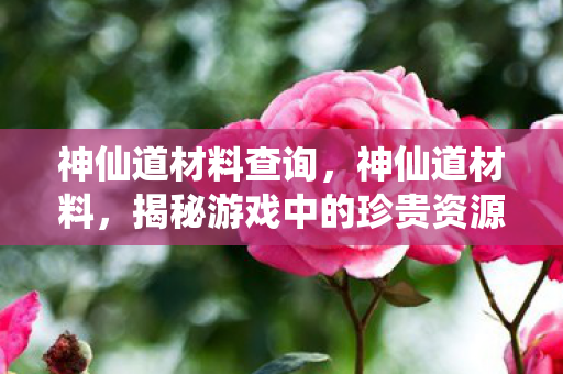 神仙道材料查询，神仙道材料，揭秘游戏中的珍贵资源