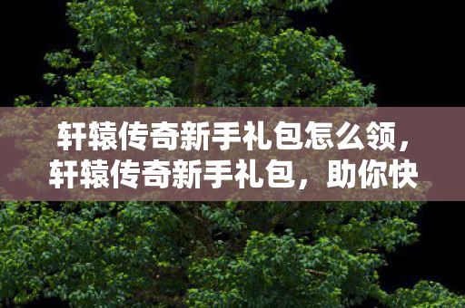 轩辕传奇新手礼包怎么领，轩辕传奇新手礼包，助你快速启程的秘籍
