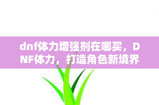 dnf体力增强剂在哪买，DNF体力，打造角色新境界的秘诀