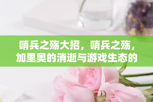 哨兵之殇大招，哨兵之殇，加里奥的消逝与游戏生态的反思