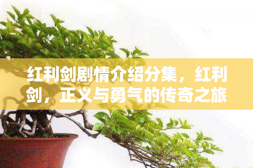 红利剑剧情介绍分集，红利剑，正义与勇气的传奇之旅