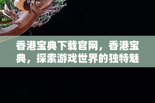 香港宝典下载官网，香港宝典，探索游戏世界的独特魅力