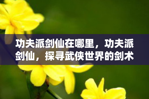 功夫派剑仙在哪里，功夫派剑仙，探寻武侠世界的剑术传奇