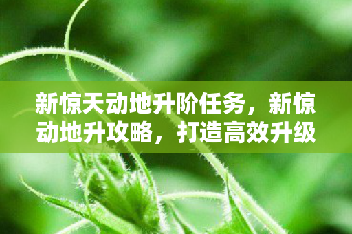 新惊天动地升阶任务，新惊动地升攻略，打造高效升级之路