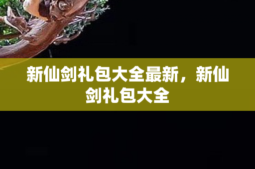新仙剑礼包大全最新，新仙剑礼包大全