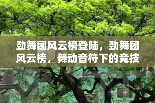劲舞团风云榜登陆，劲舞团风云榜，舞动音符下的竞技舞台