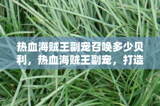 热血海贼王副宠召唤多少贝利，热血海贼王副宠，打造你的最强战斗伙伴