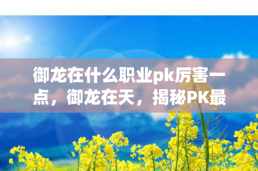 御龙在什么职业pk厉害一点，御龙在天，揭秘PK最厉害的职业