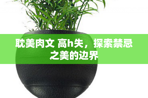 耽美肉文 高h失，探索禁忌之美的边界
