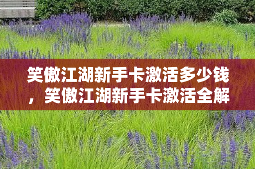 笑傲江湖新手卡激活多少钱，笑傲江湖新手卡激活全解析，畅游江湖，一步之遥