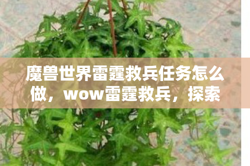 魔兽世界雷霆救兵任务怎么做，wow雷霆救兵，探索魔兽世界的无限可能