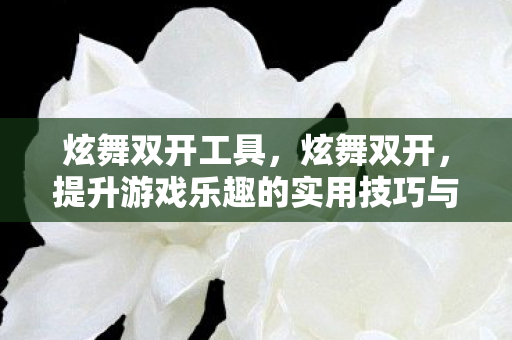 炫舞双开工具，炫舞双开，提升游戏乐趣的实用技巧与注意事项