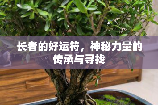 长者的好运符，神秘力量的传承与寻找