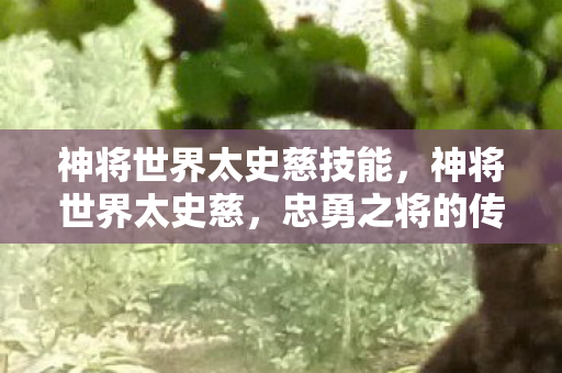 神将世界太史慈技能，神将世界太史慈，忠勇之将的传奇故事