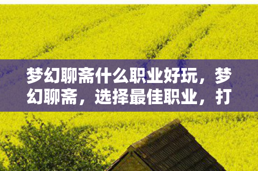 梦幻聊斋什么职业好玩，梦幻聊斋，选择最佳职业，打造你的专属传奇