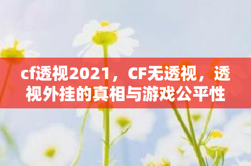 cf透视2021，CF无透视，透视外挂的真相与游戏公平性探讨
