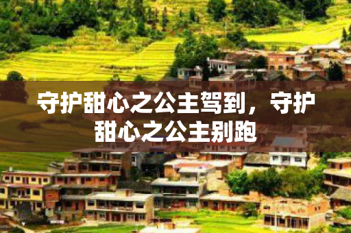 守护甜心之公主驾到，守护甜心之公主别跑