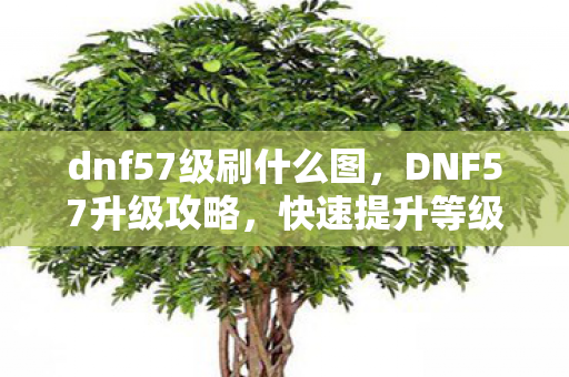 dnf57级刷什么图，DNF57升级攻略，快速提升等级的方法