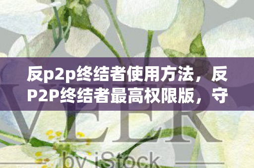反p2p终结者使用方法，反P2P终结者最高权限版，守护网络安全的新利器