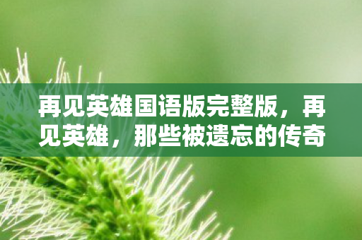 再见英雄国语版完整版，再见英雄，那些被遗忘的传奇故事