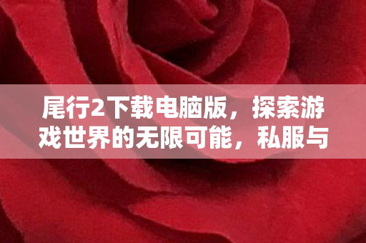 尾行2下载电脑版，探索游戏世界的无限可能，私服与官方服务器的独特魅力