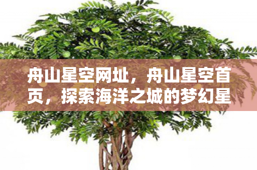舟山星空网址，舟山星空首页，探索海洋之城的梦幻星空